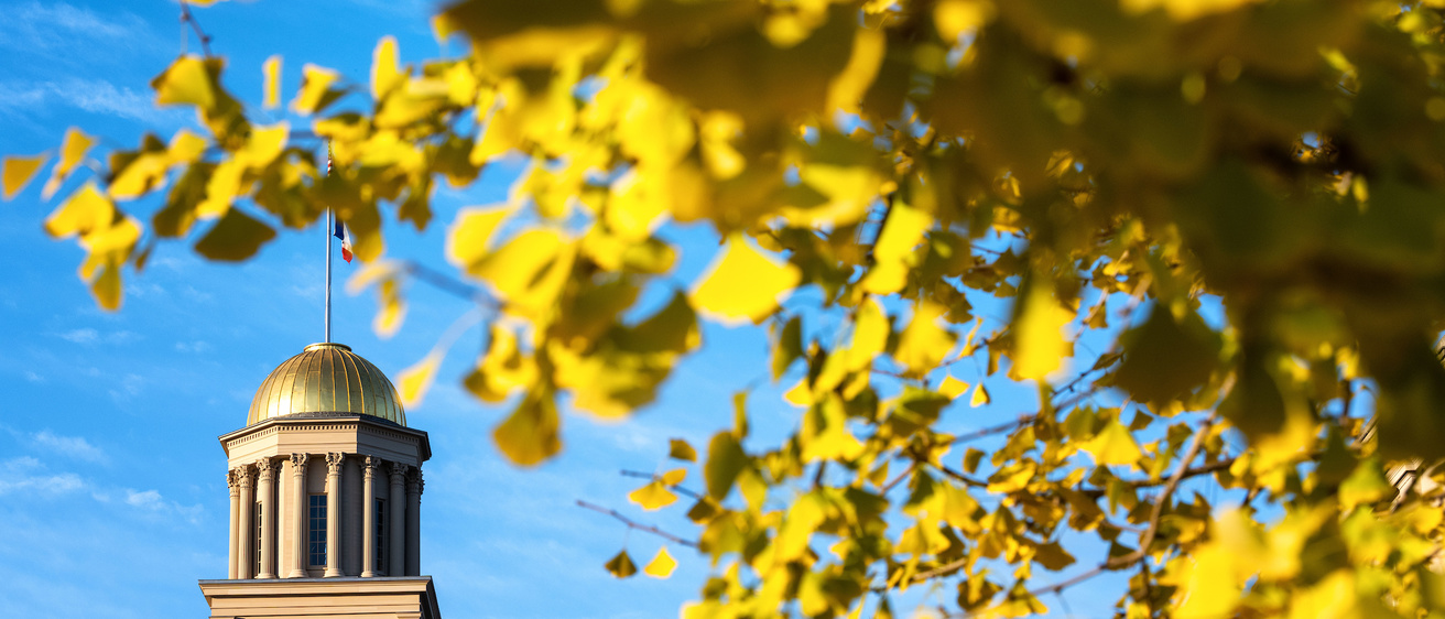 tree with yellow leaves in front of the old capitol